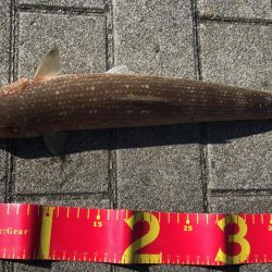 ベストコンディションな日に