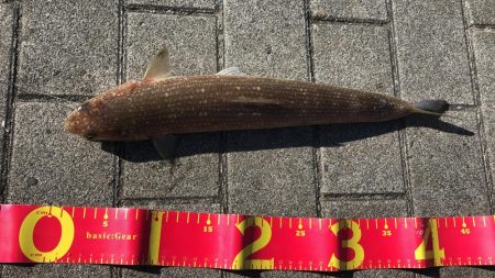 ベストコンディションな日に