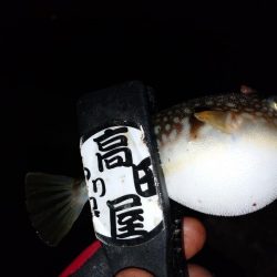 少しだけちょい投げ