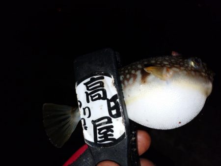 少しだけちょい投げ