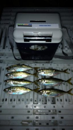 気温がまだ高いので