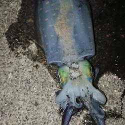 価値ある一杯！