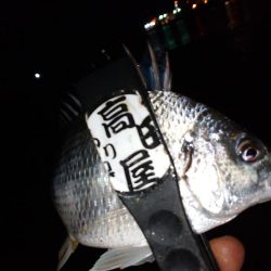 今夜もちょい投げ