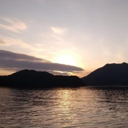 サゴシがいっぱい跳ねてました