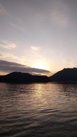 サゴシがいっぱい跳ねてました