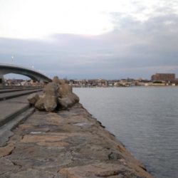 冬の根魚調査３