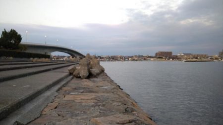 冬の根魚調査３