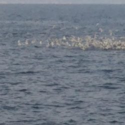 スーパーボイル発生‼