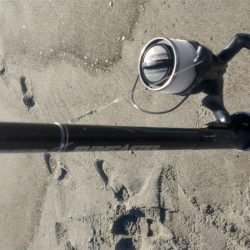 ジグサビキでヒラメ