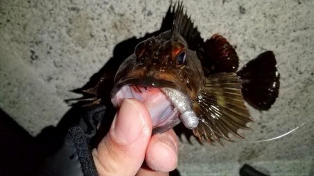 ストラクチャー際