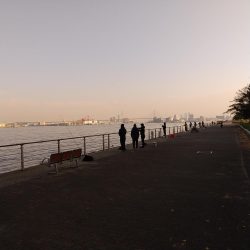 ショアジギでまさかのチヌ！