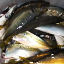 月が出るまでが勝負