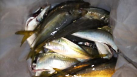 月が出るまでが勝負