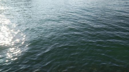 ひったくる当たり