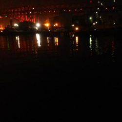 ぶらシーバス！！