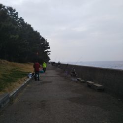 アジングのつもりが……