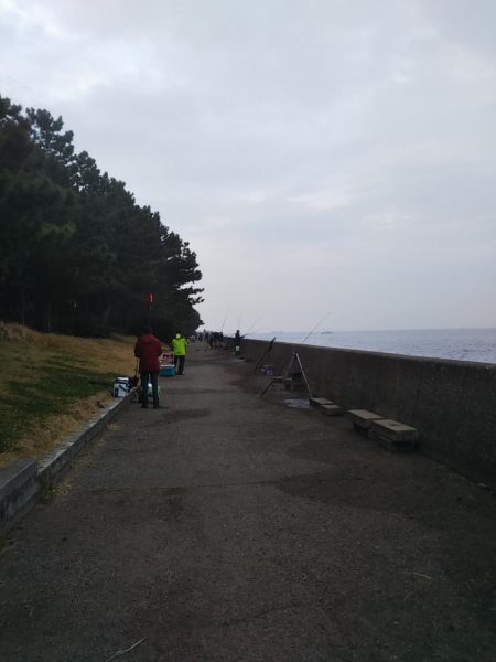 アジングのつもりが……