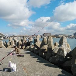 東二見白灯台波止でキス調査