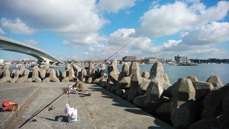 東二見白灯台波止でキス調査