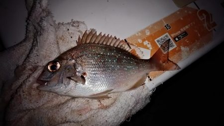 東二見・江井ヶ島釣行