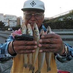 東二見で良型キス爆釣