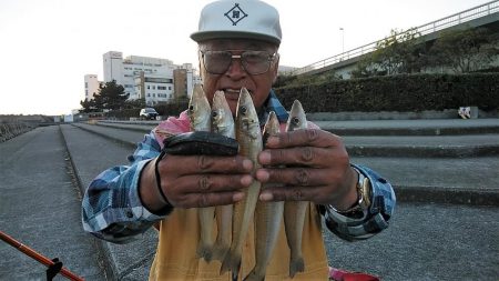 東二見で良型キス爆釣
