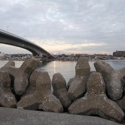 15時から東二見へキス調査