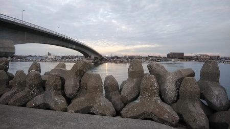 15時から東二見へキス調査