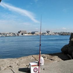 ９時から東二見のキス調査