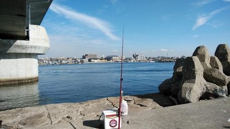 ９時から東二見のキス調査