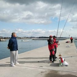 東二見へキス調査