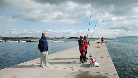 東二見へキス調査