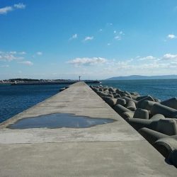 強風の東二見白灯台釣行