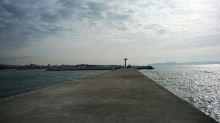 今朝も昼まで東二見のキス調査