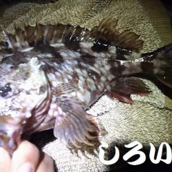 ２０２０最後の釣り。