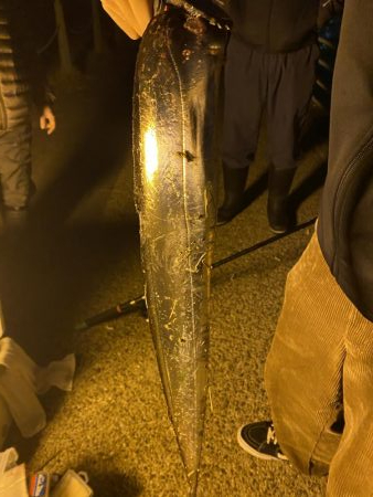 いきなりガツンと