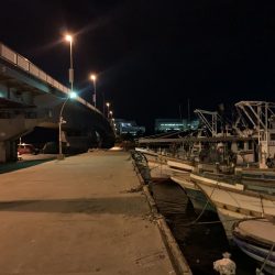 さぁ!ヒイカ‼︎