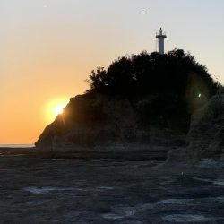 エギング楽しい