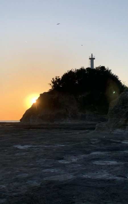 エギング楽しい