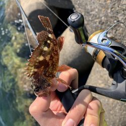 相変わらずの…