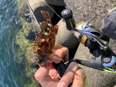 相変わらずの…