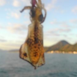 アオリ終盤戦‼️