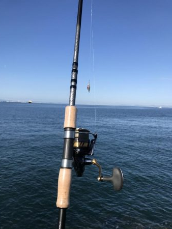 シーズン終了間近！お急ぎ下さい