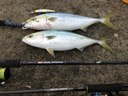 初場所チャレンジ！