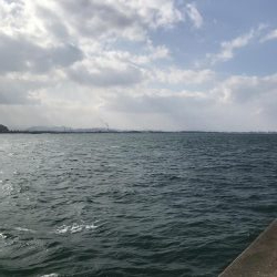 爆釣きたー‼︎