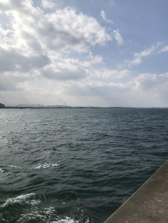 爆釣きたー‼︎