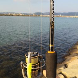 フラットフィッシュゲームNo.4