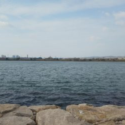 フラットフィッシュゲームNo.5