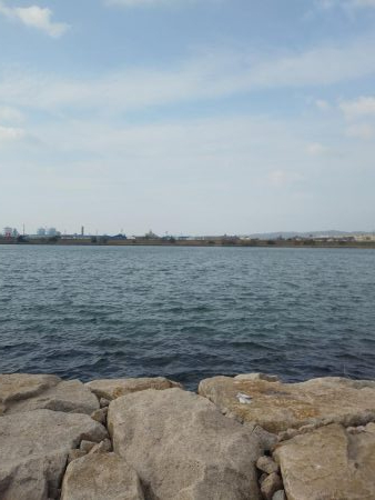 フラットフィッシュゲームNo.5