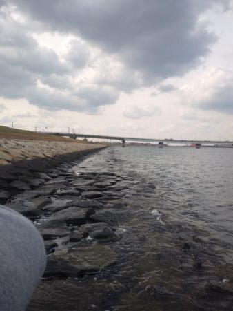 フラットフィッシュゲームNo.6